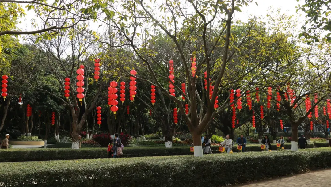 大夫山怎么去（春节假期24个公园绿地草坪帐篷区域）