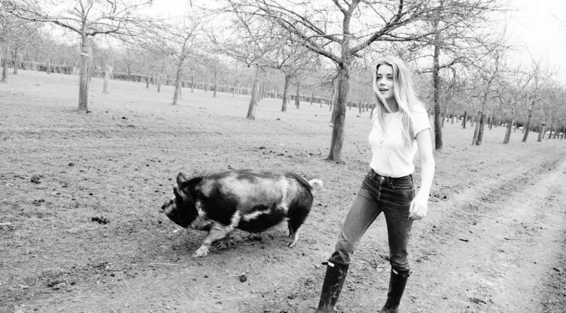 德普前妻花4000万请的顶级律师偷偷哭了，不认同也要硬着头皮辩护