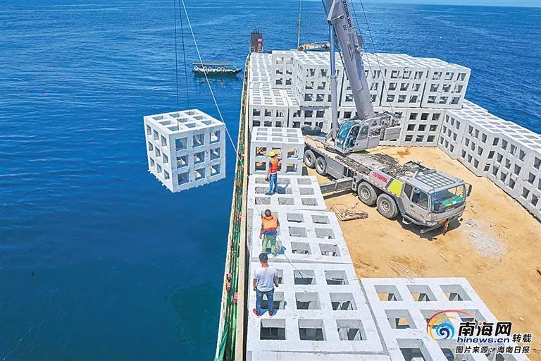 人工鱼礁建设是改善海洋环境增殖资源的有效措施 人工鱼礁建设是改善海洋环境增殖资源的有效措施