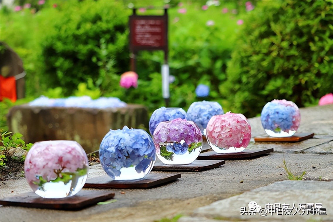 你見過這樣的寺廟嗎 把花卉玩出了新花樣 天天看點