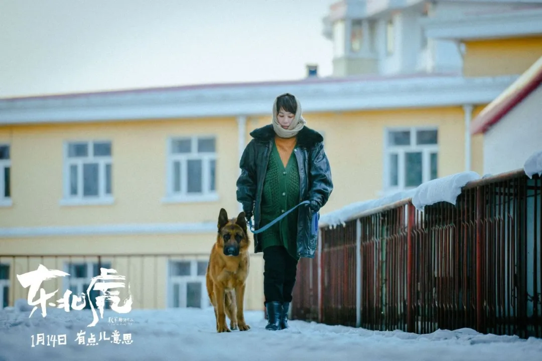 《东北虎》:“东北”是个形容词,指向无望和无解