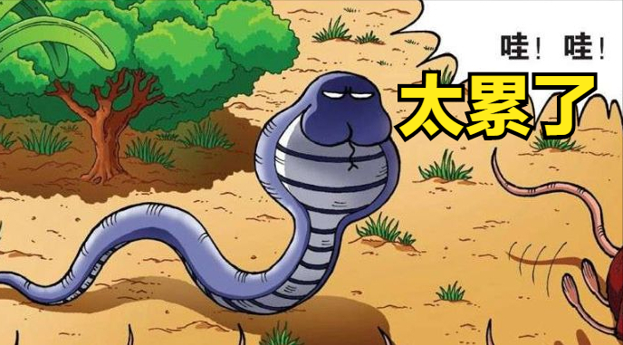 半年蛇吃鼠,半年鼠吃蛇!蛇连老鼠都招架不住,为何非要冬眠?