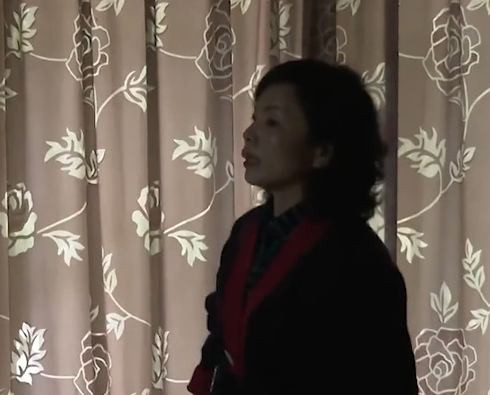 故事：丈夫偷腥漂亮小保姆，并送10多套房产，原配得知后暴走上门