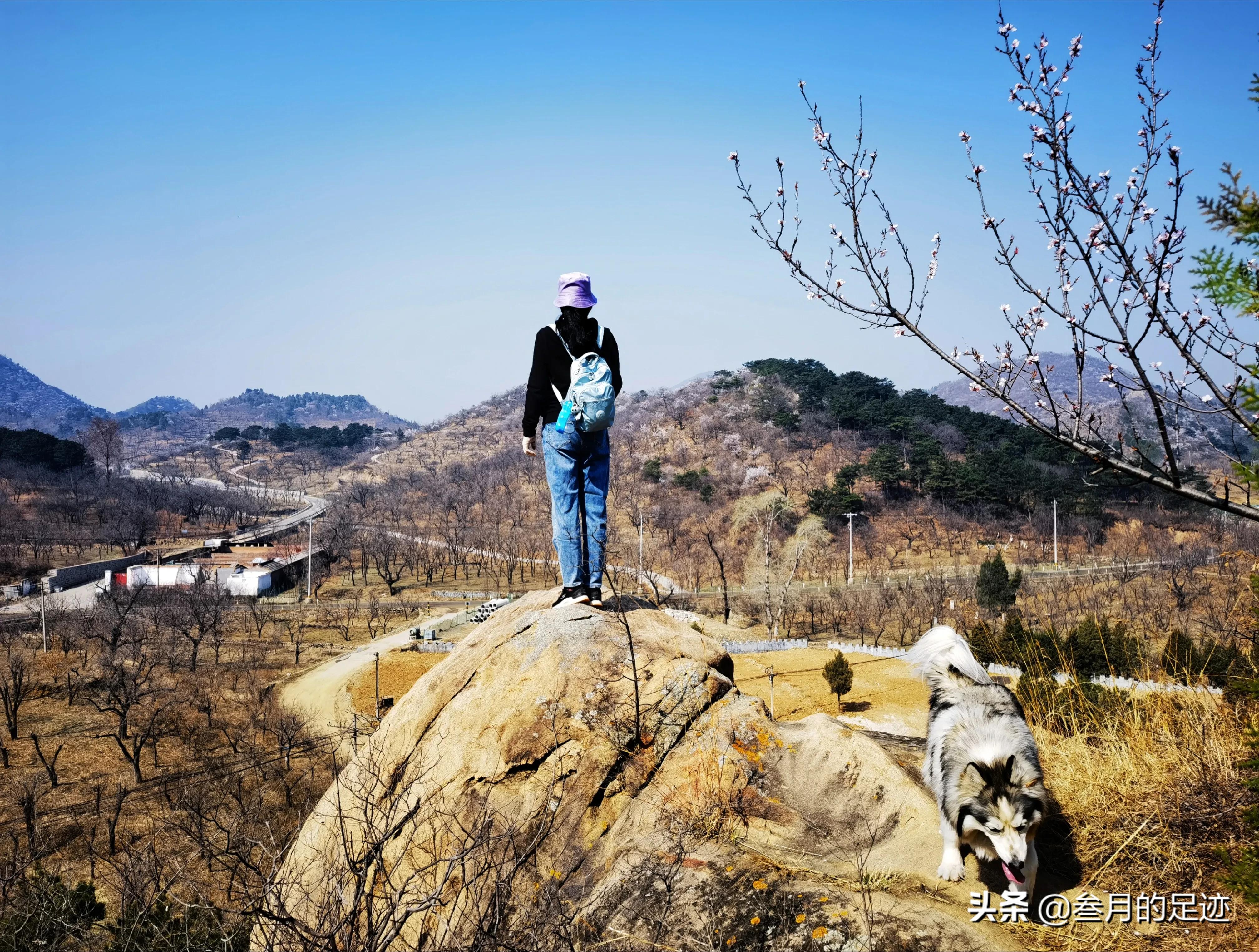 北京昌平自驾游，发现一个美丽的山谷，很适合春日踏青遛娃呀