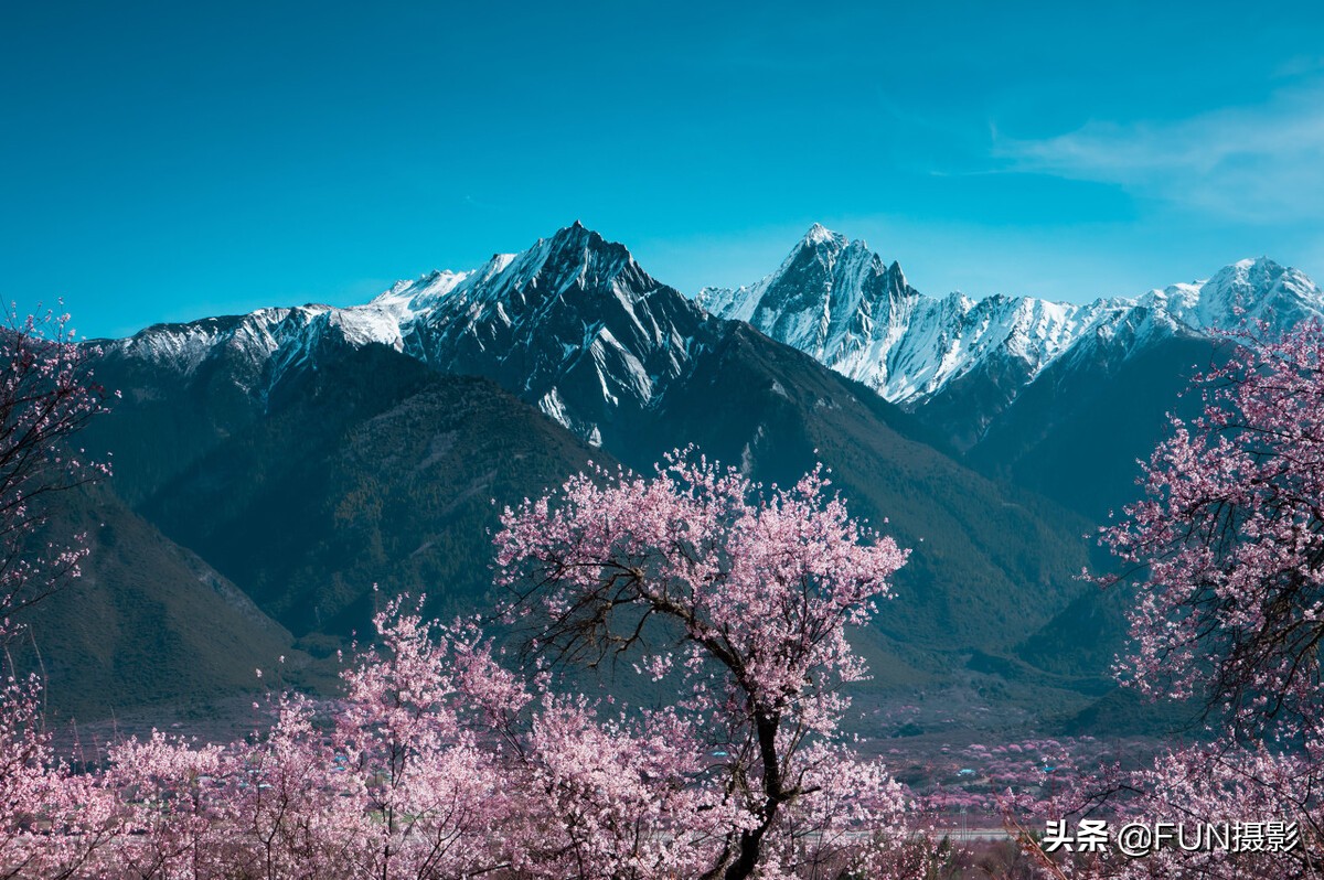 掌握这12个超实用的手机摄影技巧，你也能拍出美丽大气的摄影大片
