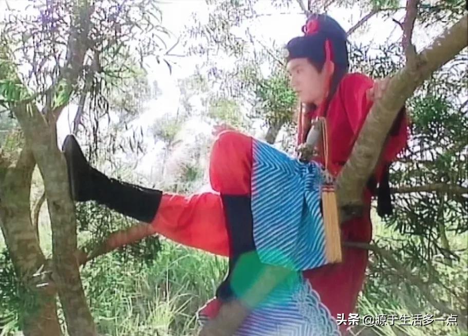 碧血青天杨家将：混搭杨家将、包青天两大北宋IP，乱七八糟的好看