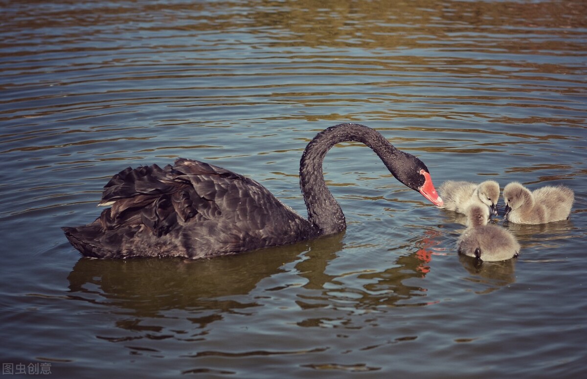 内蒙古师范大学2022硕士招生符合加分政策进入复试考生名单公示
