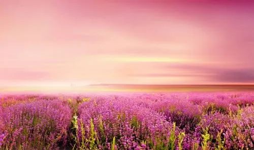 《年月日》——基于教学评一体化的课例设计