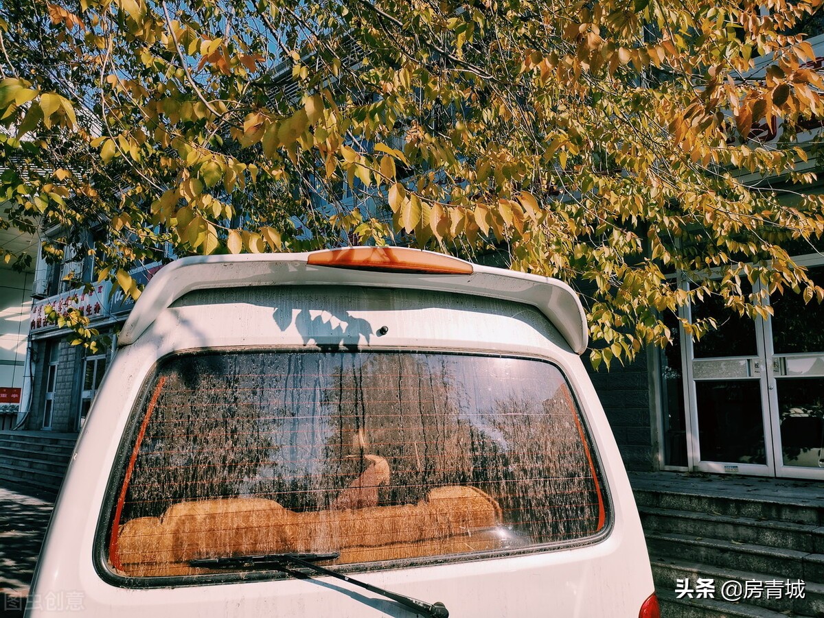 最新规划！玉泉将新增学校，选址初定，你最期待哪个？