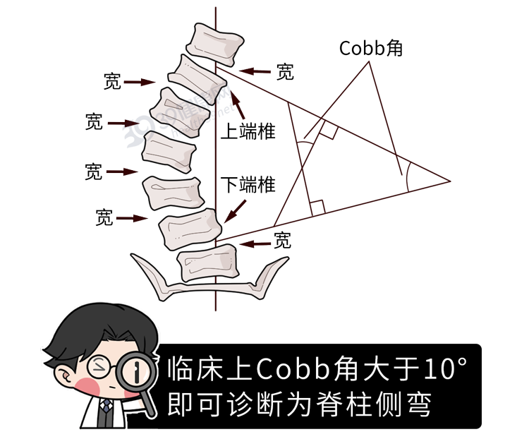 别再只是「把背挺直」了！正确的坐姿是这样的，很多人还不知道