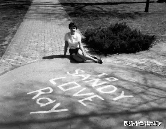 今天分享一些不一样的，美国哪些大学最为浪漫