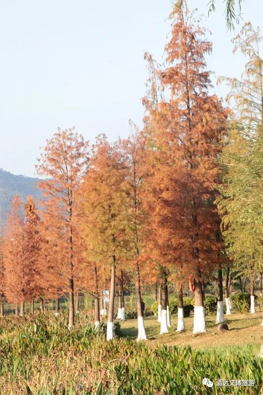 1月，飞来湖见！