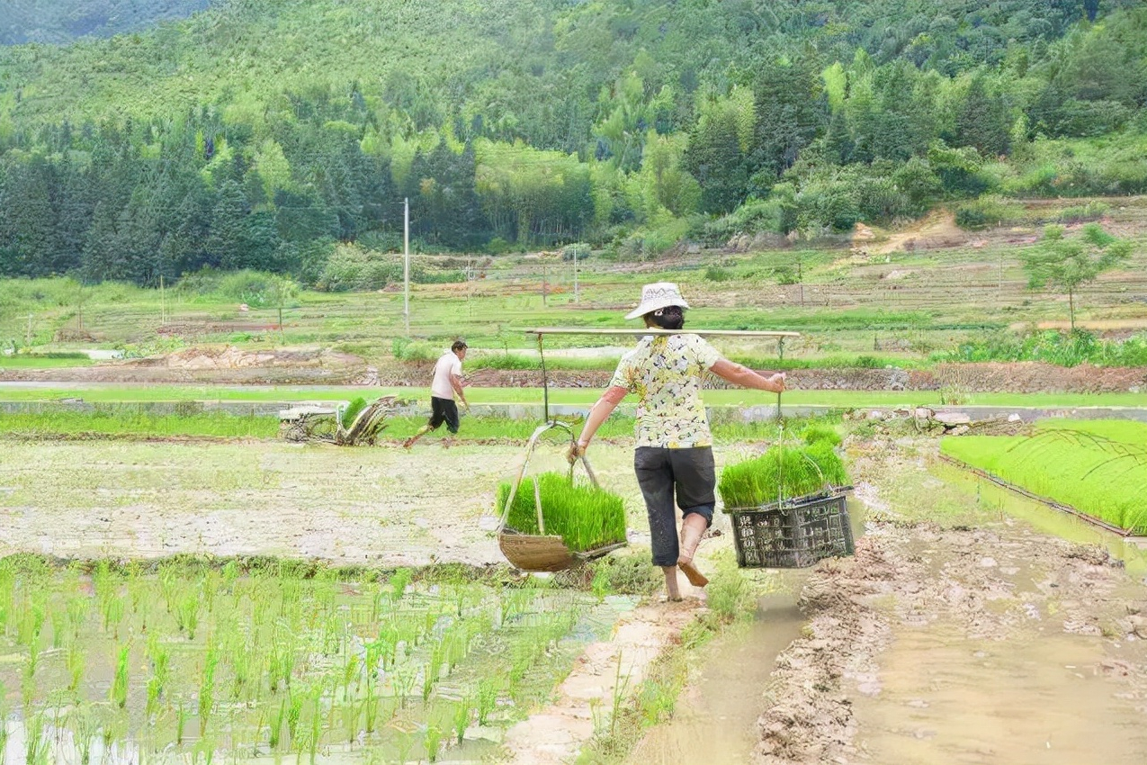 陕西农妇被冒名顶替23年，母亲坐公交发现线索：顶替者是邻班同学