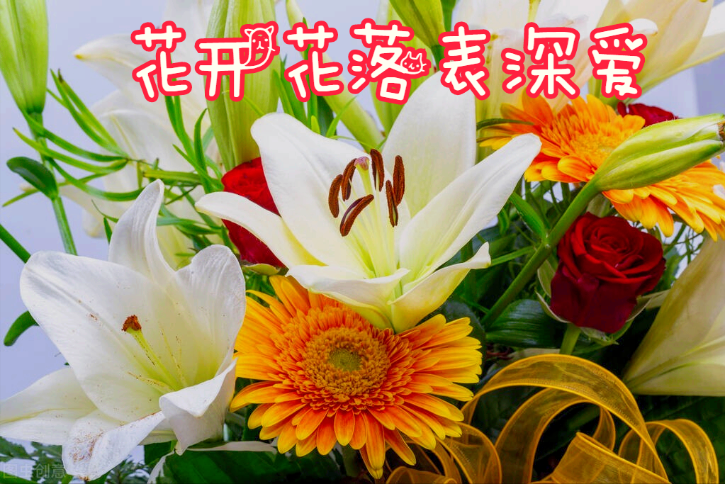 一花一世界，一花一深爱，只要与花相遇，就念在心里，爱到永久