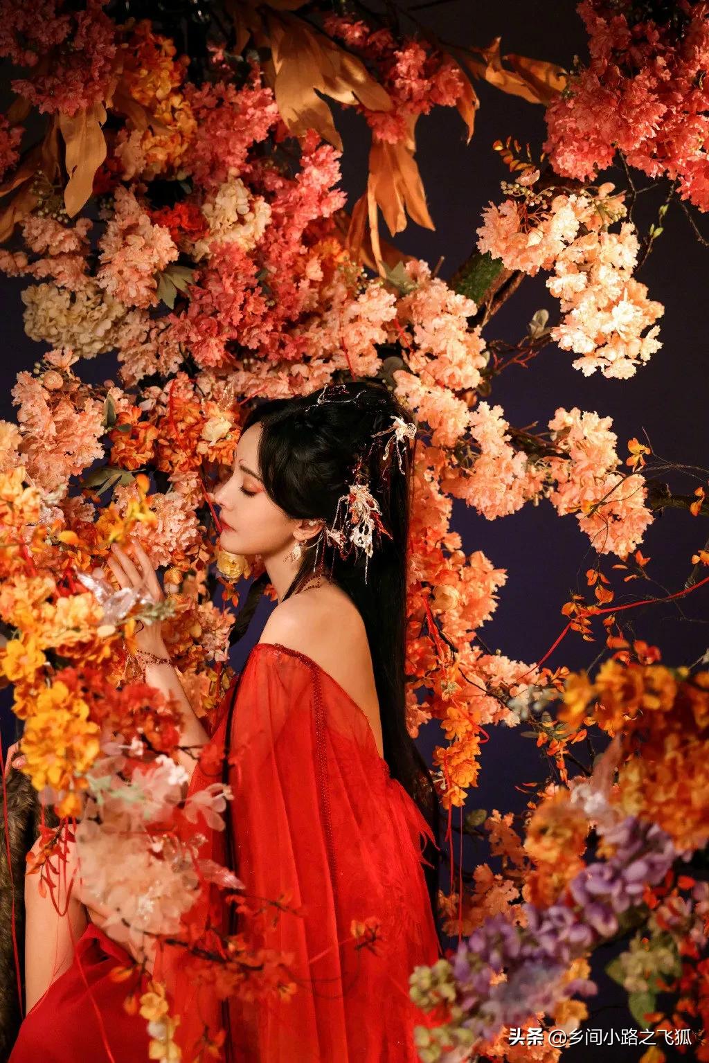 今日《狐妖小红娘月红篇》正式官宣，杨幂饰演山红红花絮照来了