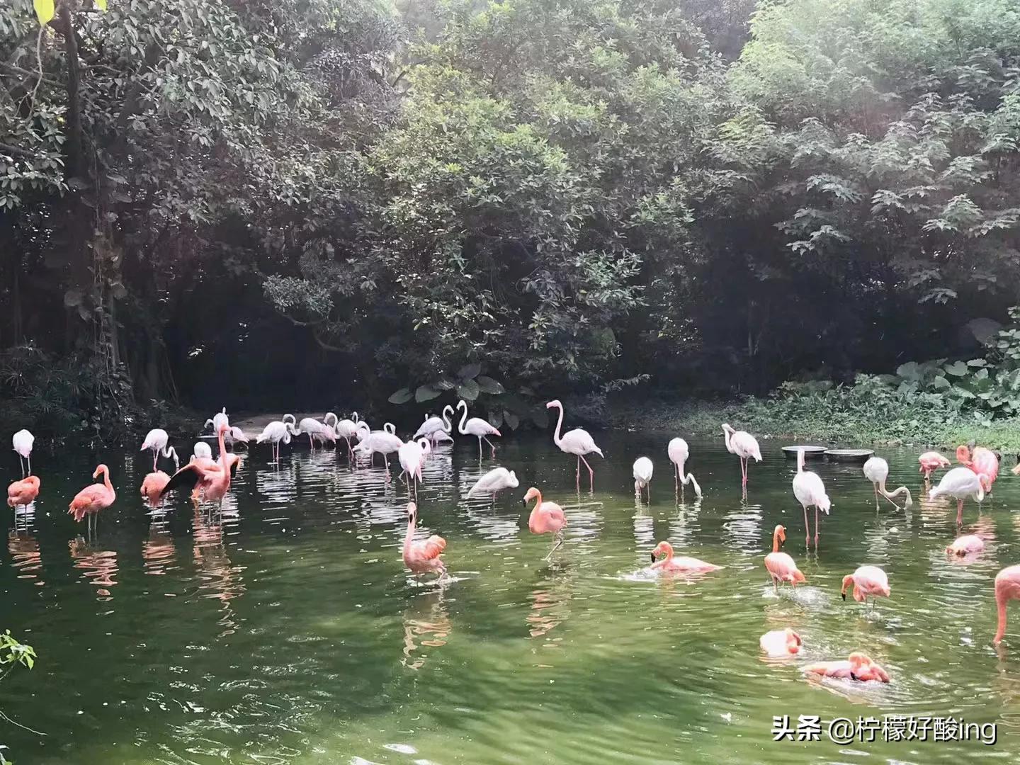 感谢闺蜜十多年陪伴，未来依然伴左右