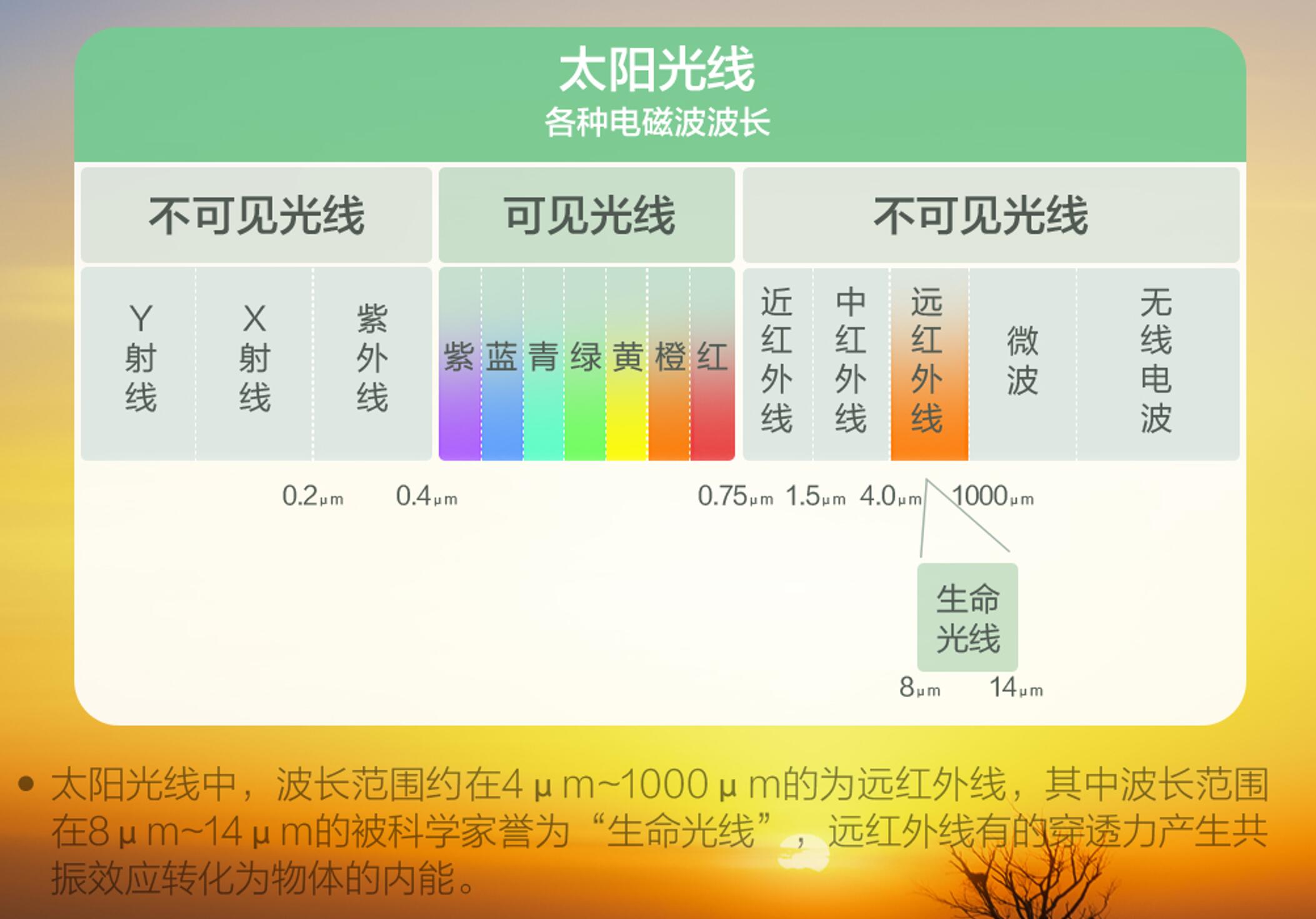 选电饭煲全方位攻略，想做出好吃的米饭，到底是买国产还是进口？