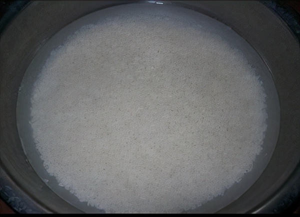 最简单、最省力、零失败的醪糟做法