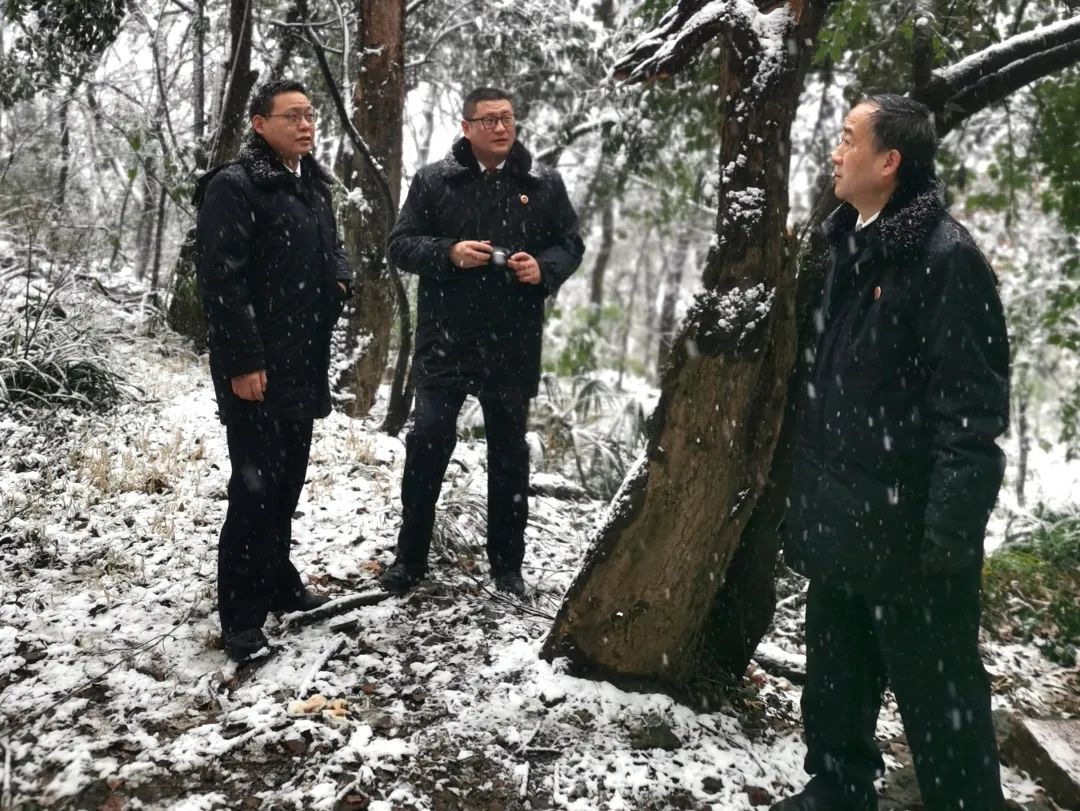 虎力满满迎开工 我们一起向未来
