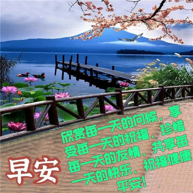 早安祝您安康快乐，愿你如诗，未来可期