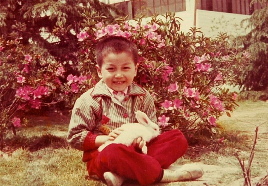 公子哥陈晓：那个娶了白月光的“顾千帆”，为何眼里失去了光？