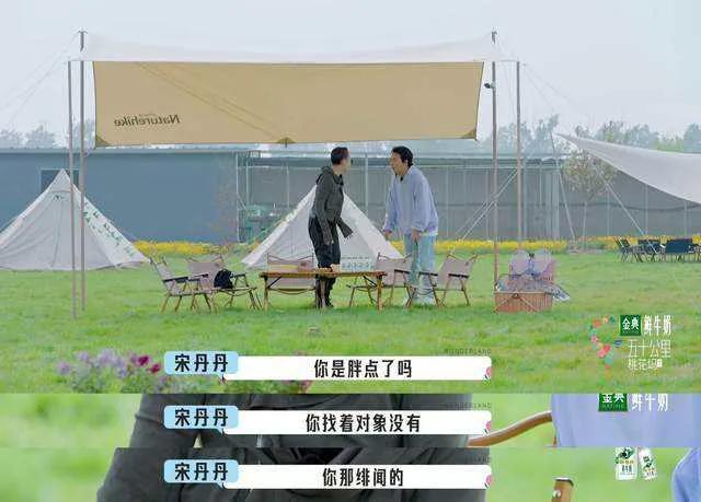 宋丹丹做领导好窒息，《桃花坞2》从尴尬社交变成地狱职场