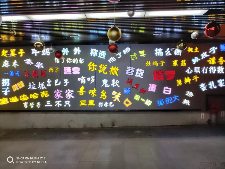 系统升级会“负优化”拍照？我们测了两台手机