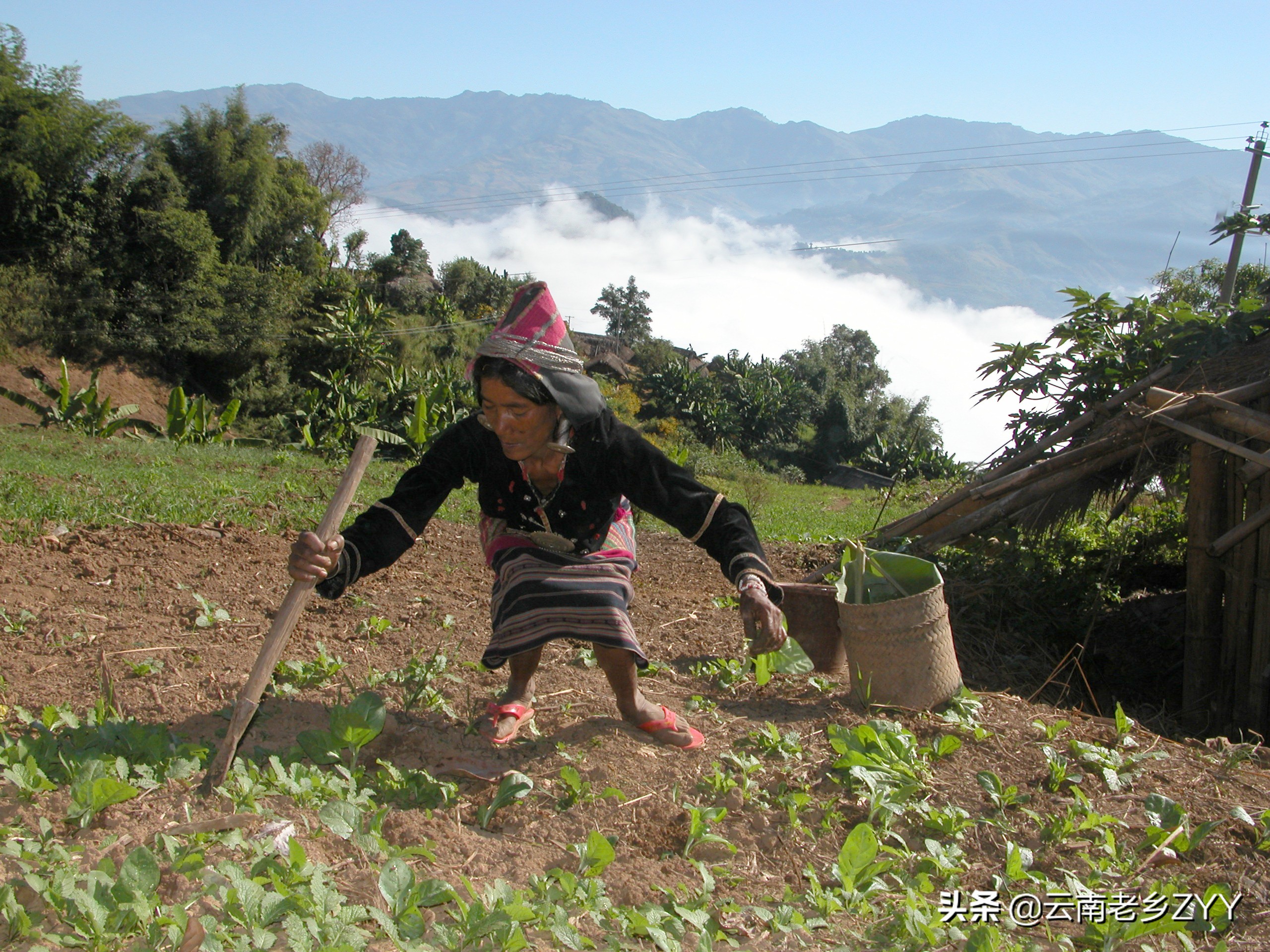 神秘的阿佤山：孟连佤族百姓的生活影象（一）