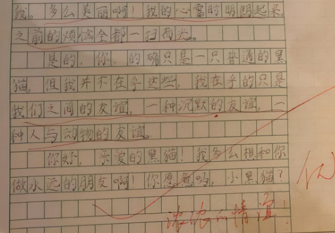 学生作文《有你真好》，题材新颖有创意，网友：得高分在意料之中