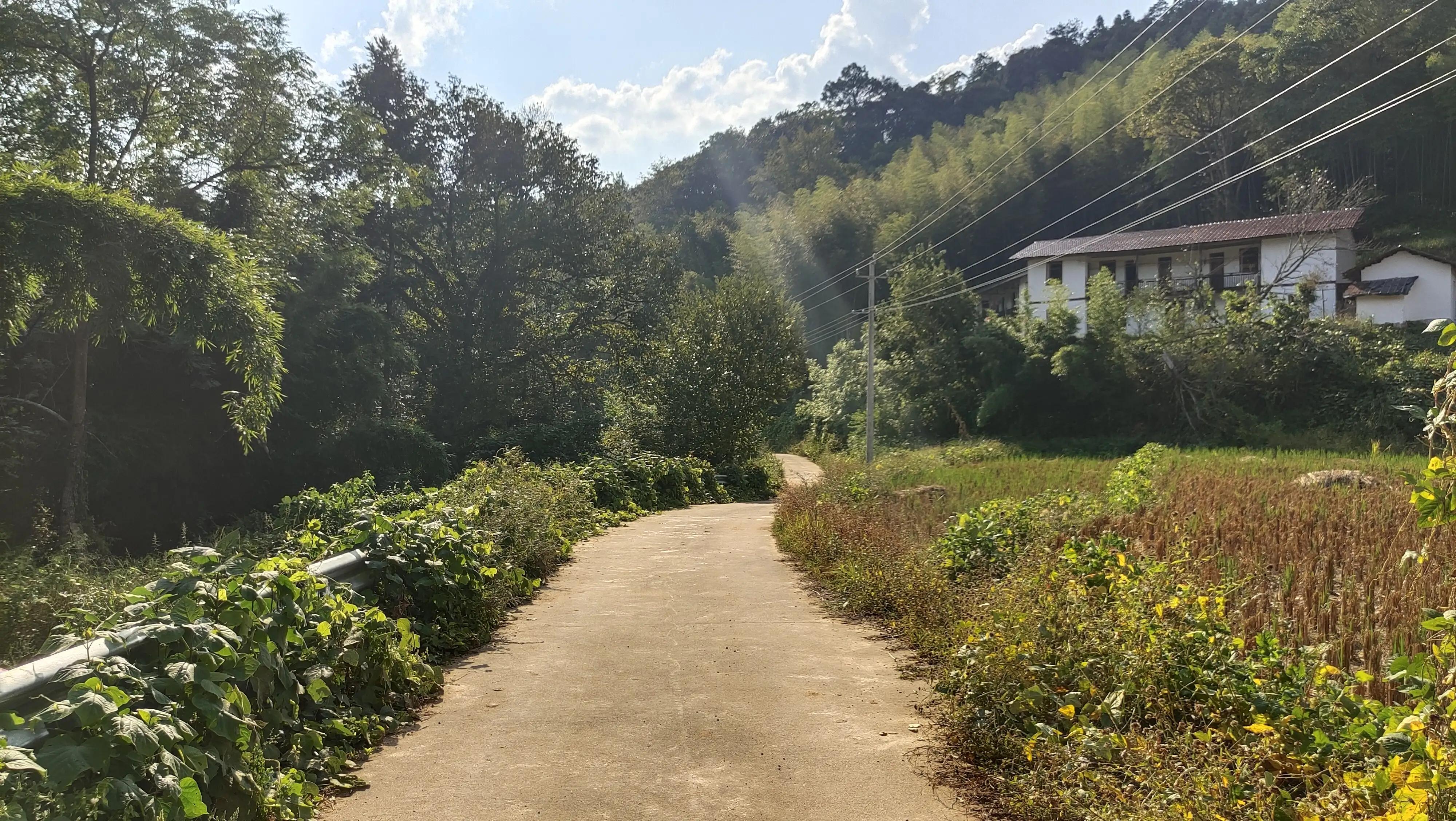 近水遥山皆有情，怀念家乡的童年与旧人