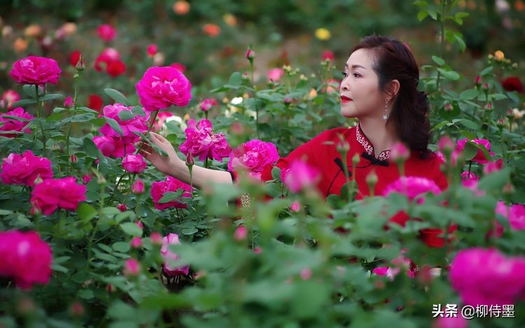 中年姐姐拍摄唯美人像，参考女摄影师的5句口诀，照片优雅有韵味