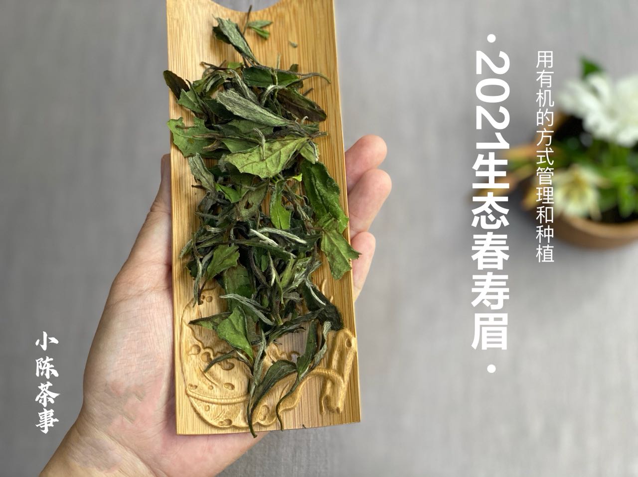 2款口粮级别的白茶，能存能喝又不贵，行家成箱往家里买