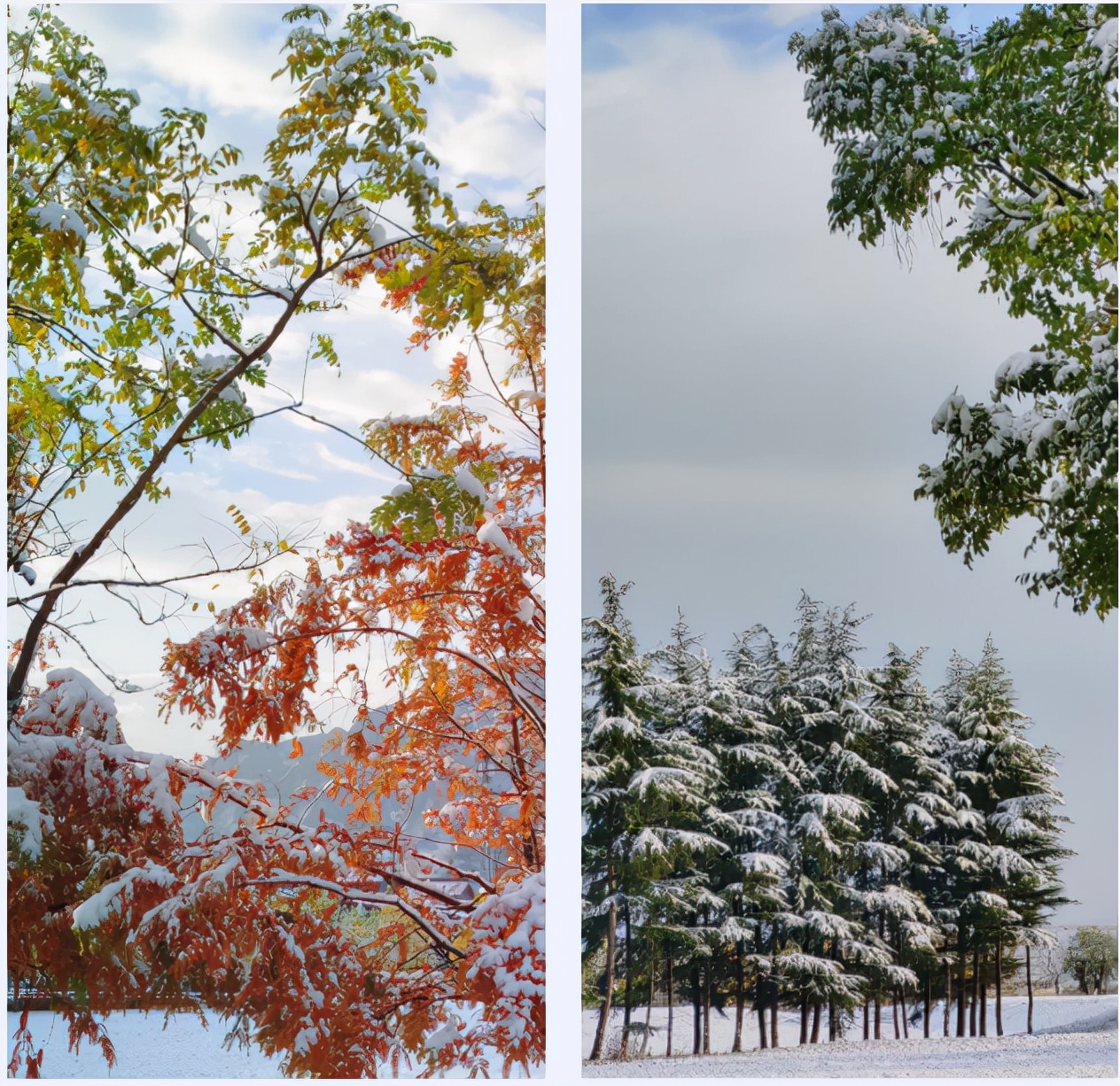 高颜值！陕西这所高校位于特大城市，占地4300亩！网友：风景绝美