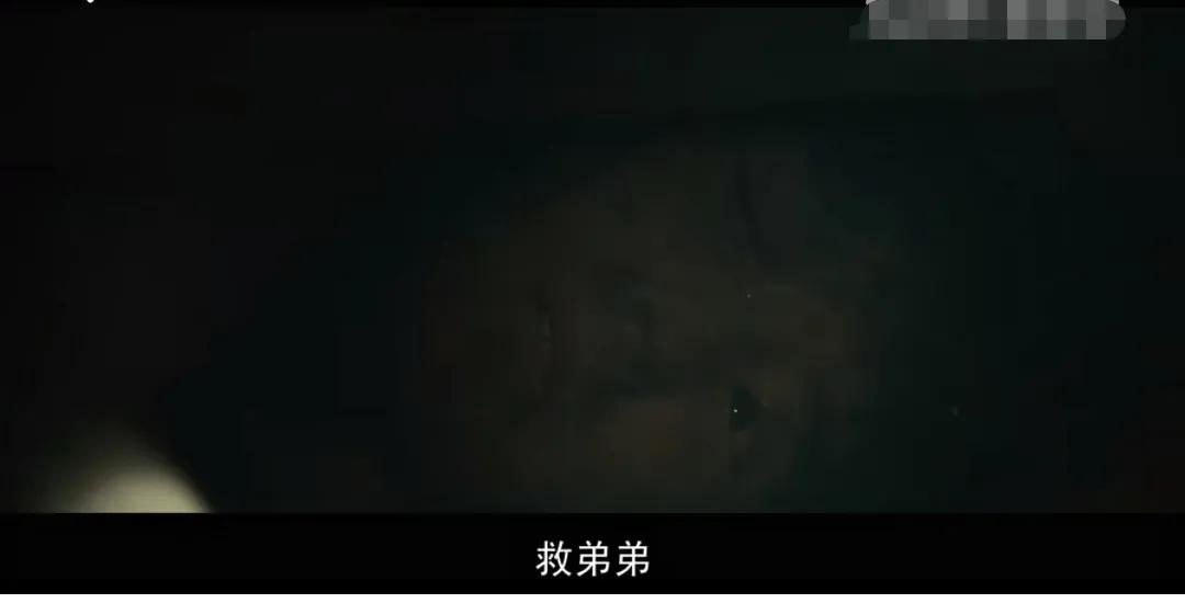 《唐山大地震》中，如果是你，你会怎么选择？