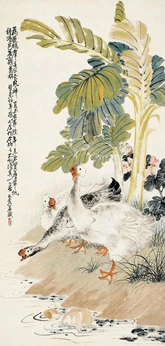 水中花白鹅，诗画溢欢歌：“白鹅”诗词20首，国画白鹅46幅