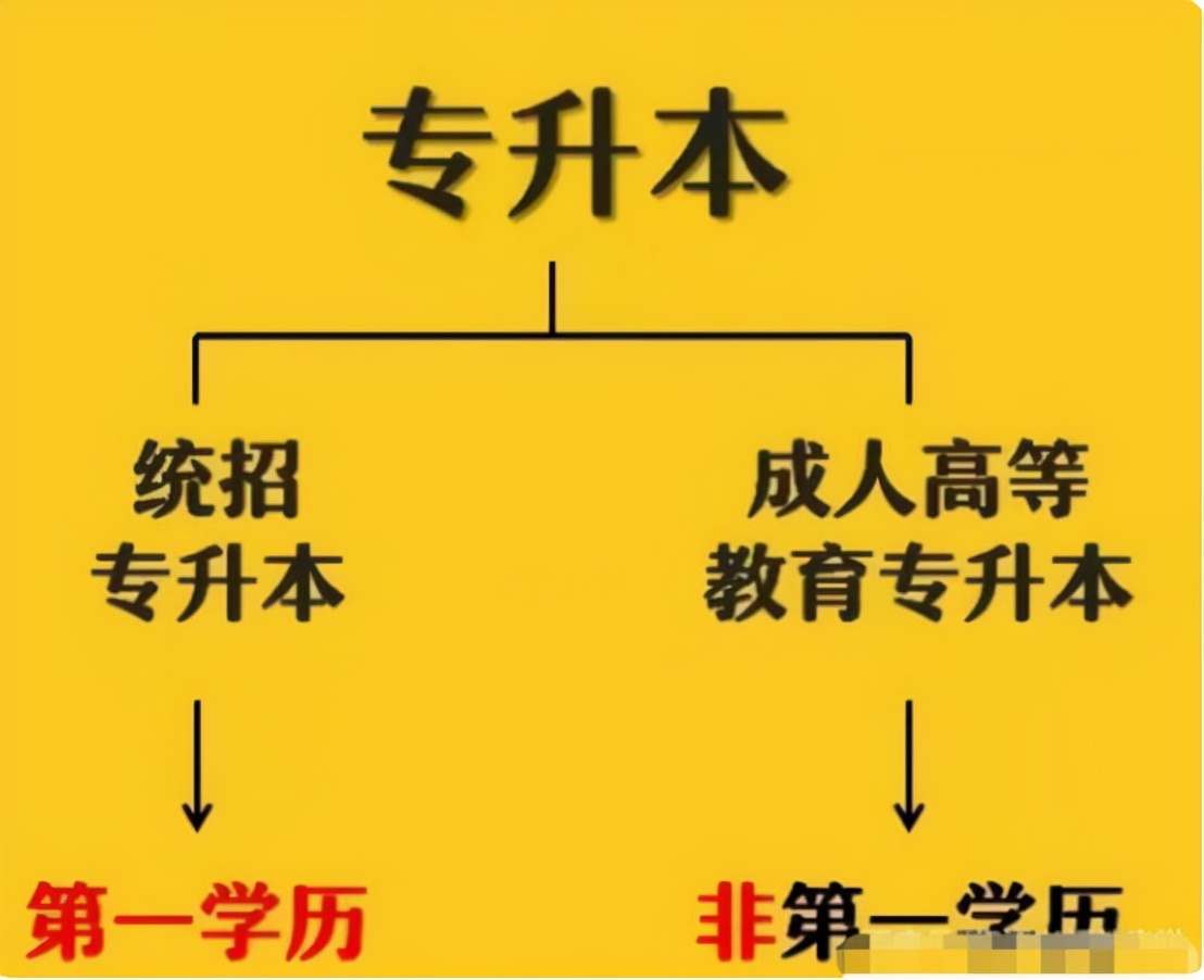 统招本科是什么意思(专升本与高考"统招"本科有可区别 千梦
