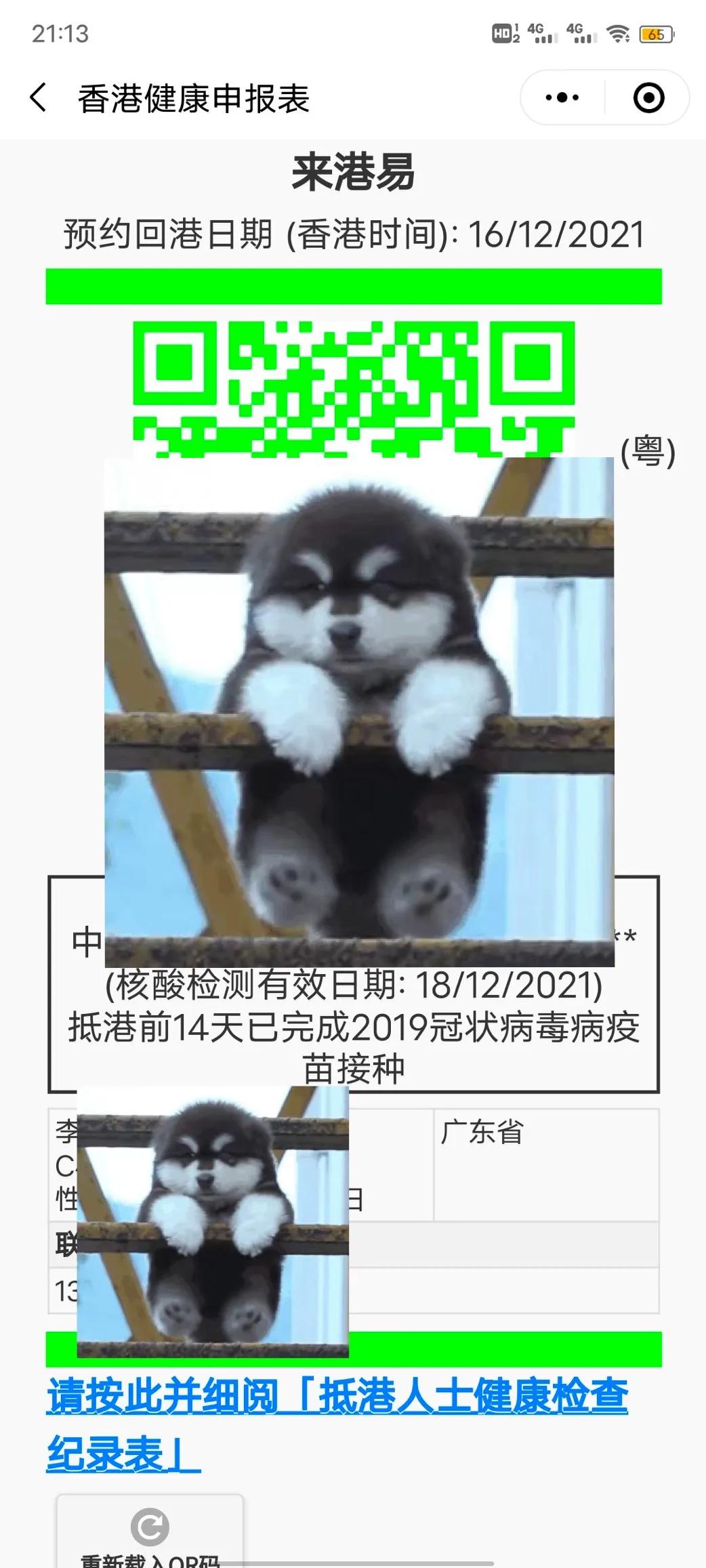 怎么去香港,怎么去香港打工