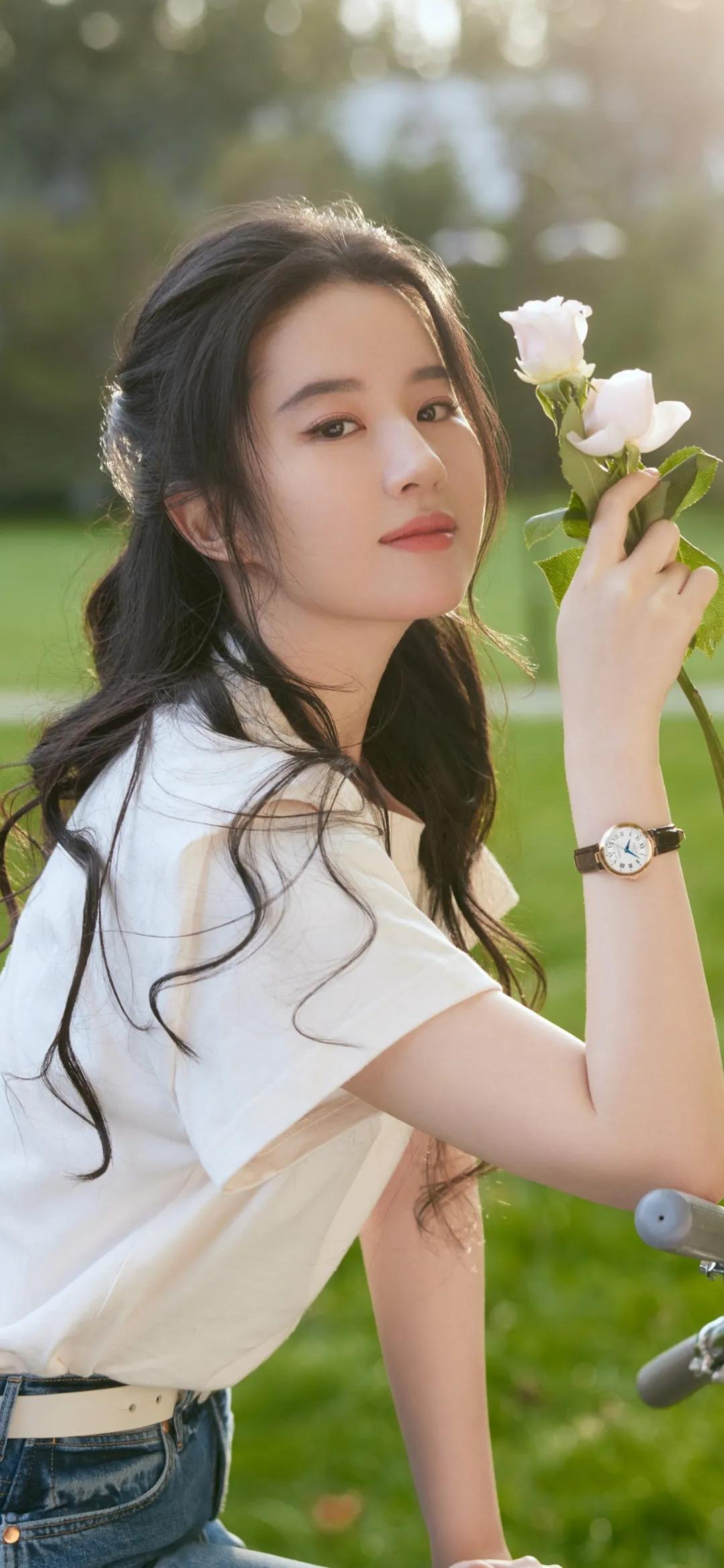梦华录 刘亦菲新剧 赵盼儿