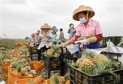 預(yù)制菜C位出道，“躺平”萬億餐飲市場指南