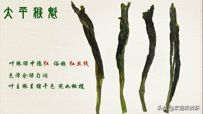 安徽猴魁茶图片的介绍（安徽茶叶的天花板）