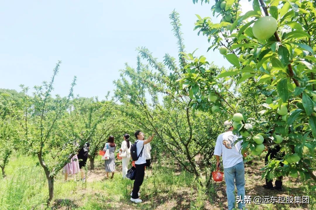 “青凤来宜”之“宜见青心”青年沙龙活动圆满举行