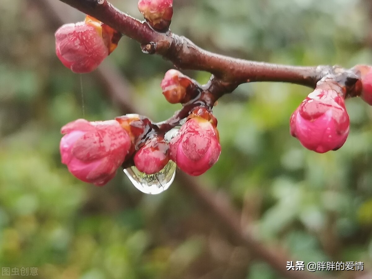 春暖花开的季节，阳光正好，微风不燥，愿你明媚如初，幸福荡漾