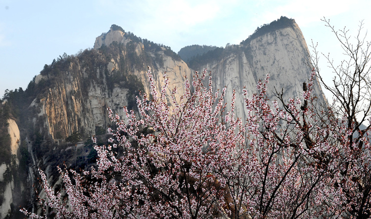 陜西渭南：春已至，靜看山間繁華