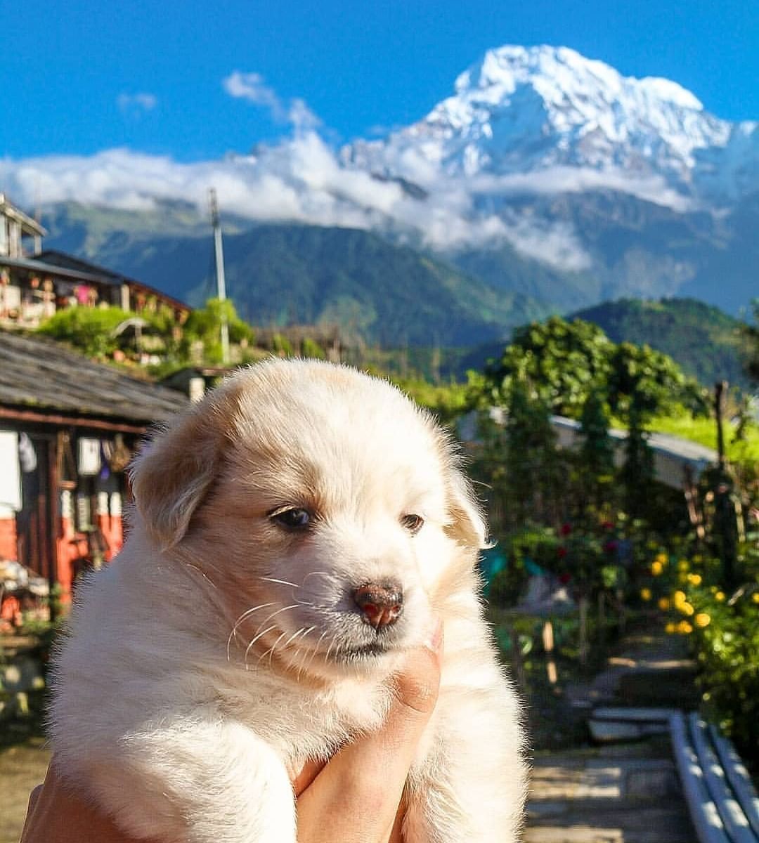 名人是如何看待旅行的？