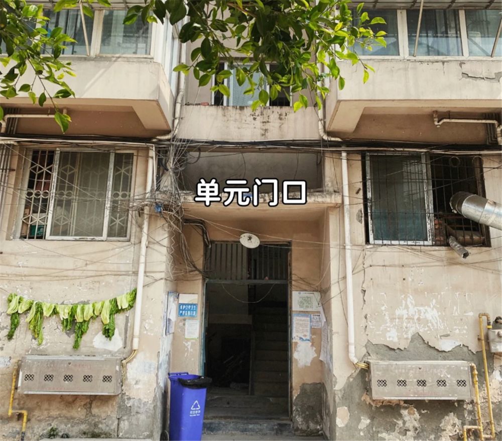 她低价租下楼顶“自建房”，环境虽破旧，却有20㎡露台和3间卧室