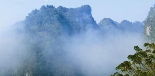 贵州大方百里杜鹃简介（最大的百里杜鹃的景区介绍）