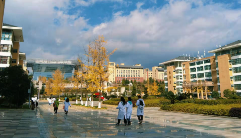 非医学专业想学医途径（分数不高想读临床医学）