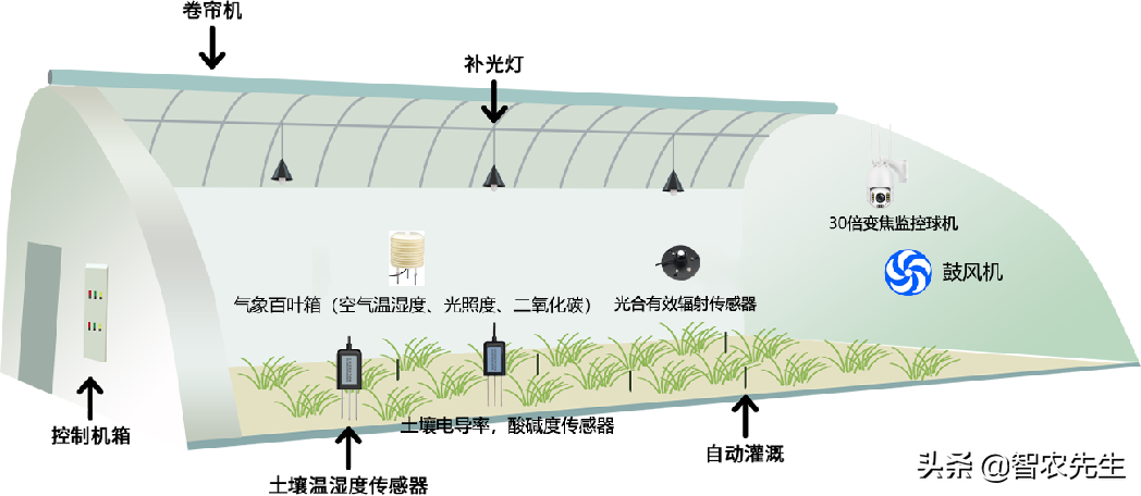 一个温室大棚年收入8万元，这是怎么做到的？