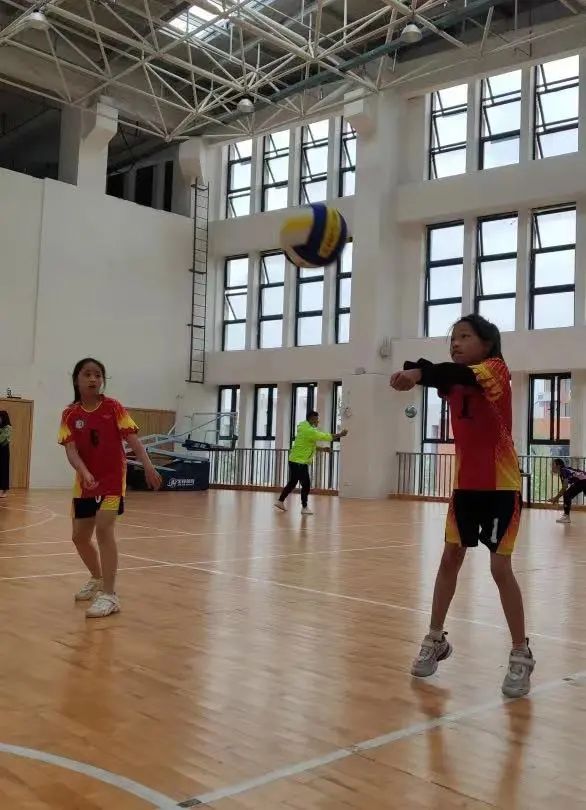 南湖小学荣获“天府共享杯”首届中小学生排球联赛小学乙组冠军