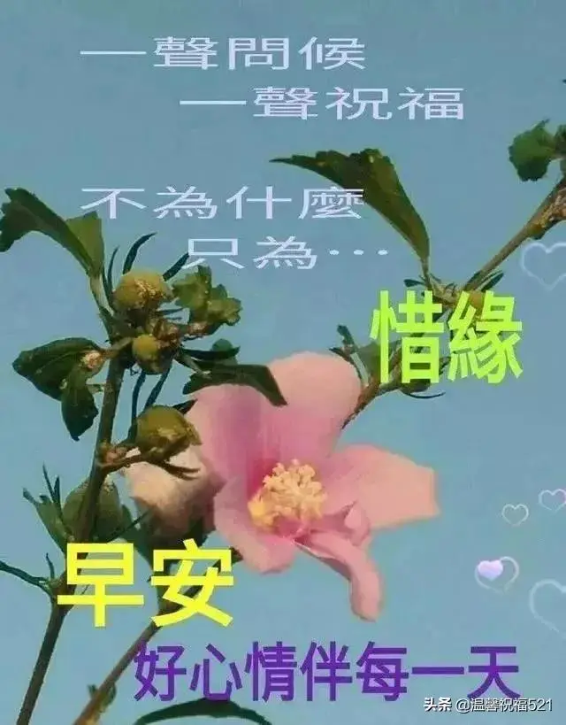 早上好问候，牵挂无需言语，朋友珍藏在心里